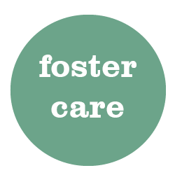 foster care button