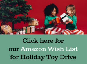 click here for our Amazon Wish lIst for Holiday Toy Drive