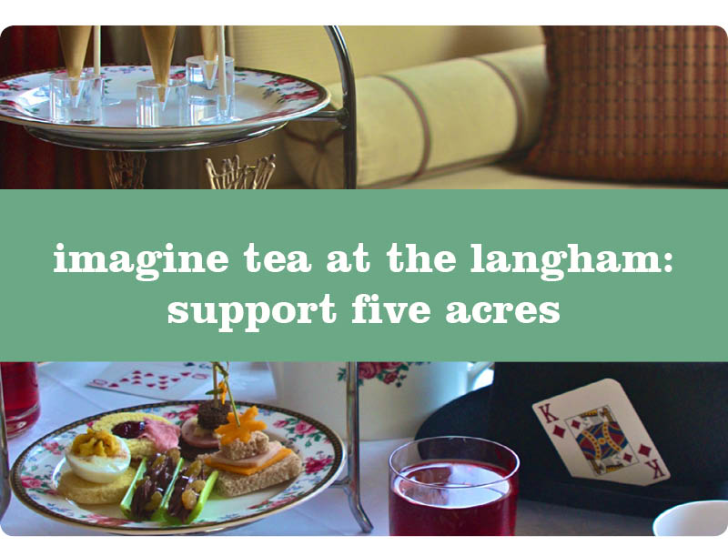 imagine tea langham huntington five acres