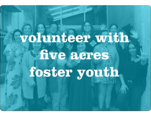 be seen volunteer with foster youth banner