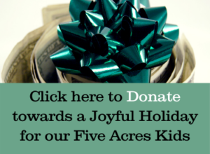 Click here to donate towards a joyful holiday for our Five Acres Kids