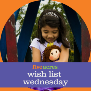 Little girl with a princess crown holding a doll and words that read Five Acres Wish List Wednesday