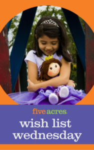 Five Acres Wish List Wednesday with a little girl hugging a doll looking wishful