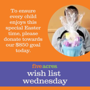 A photo of a child with easter basket and words that say to ensure every child enjoys this special Easter time, please donate towards our $850 goal today