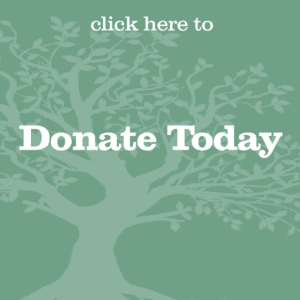 A green banner encouraging donations with a tree background.
