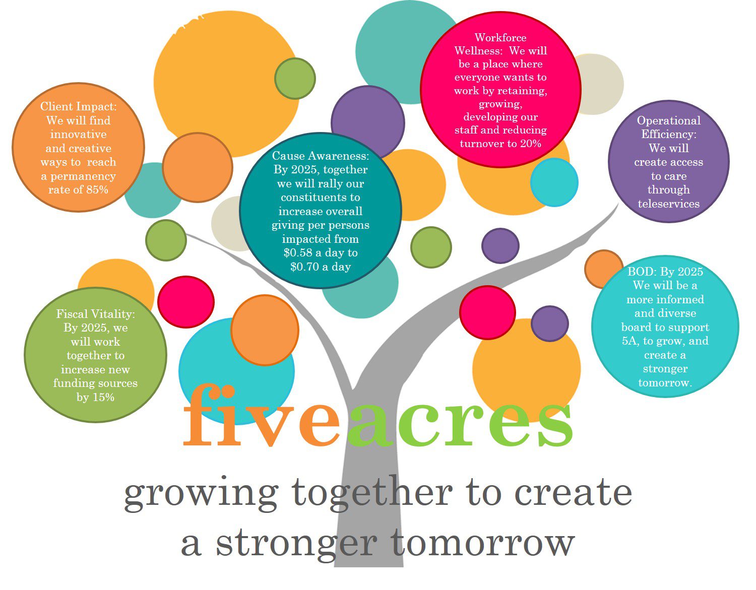 Organizational growth and improvement plan